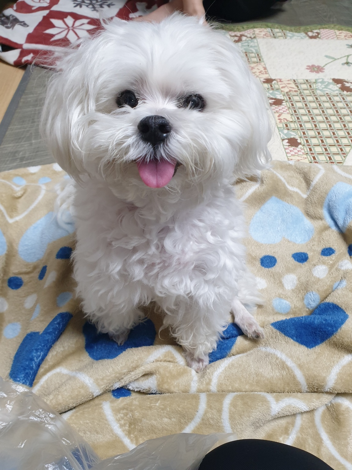 250609_부천_하늘.jpg