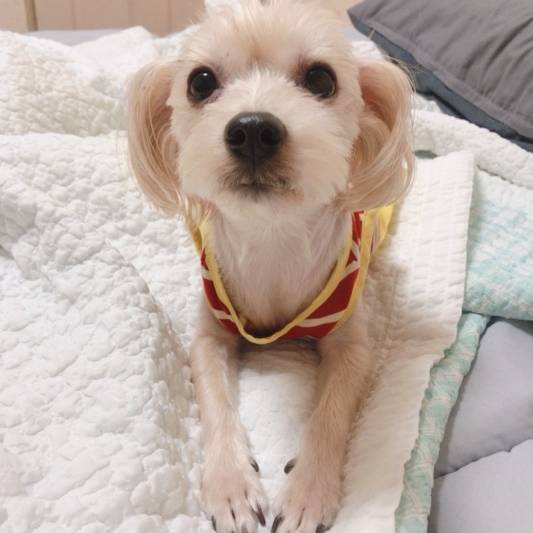 250609_부평_봄.jpg