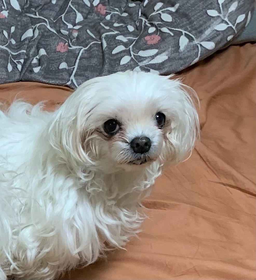 250611_부천_뽀롱.jpg