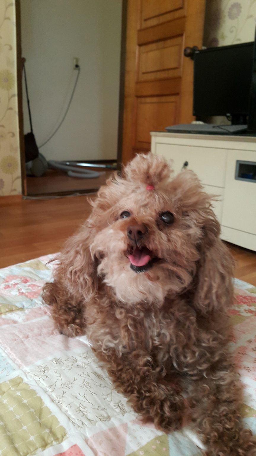 250611_화곡_쿠키.jpg
