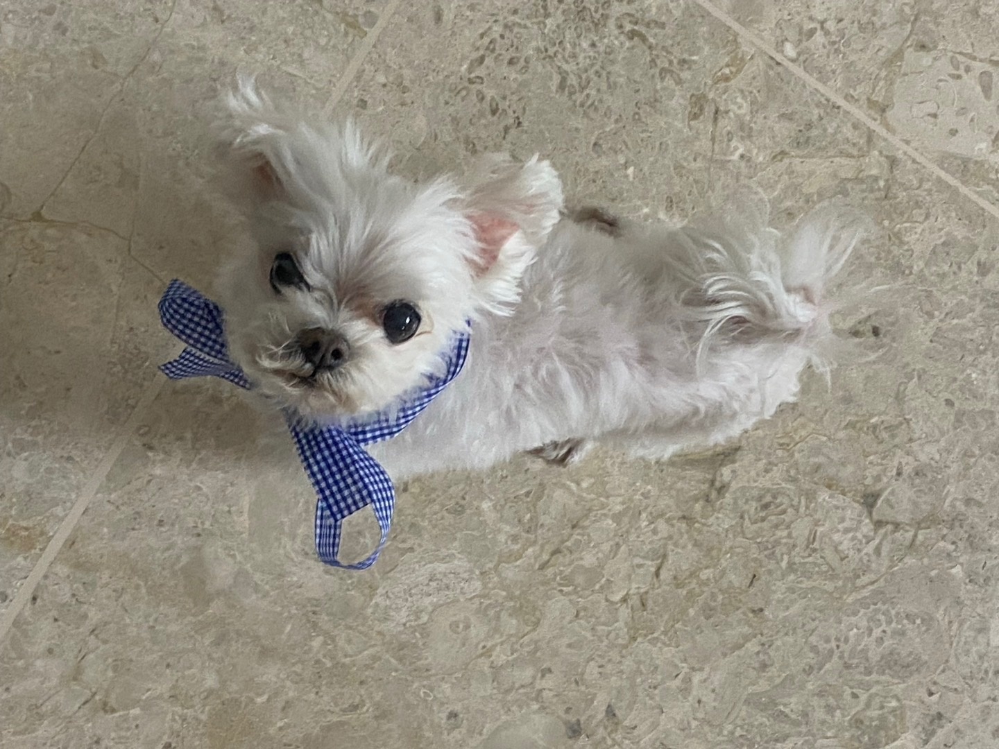 250614_논현_안동.jpg