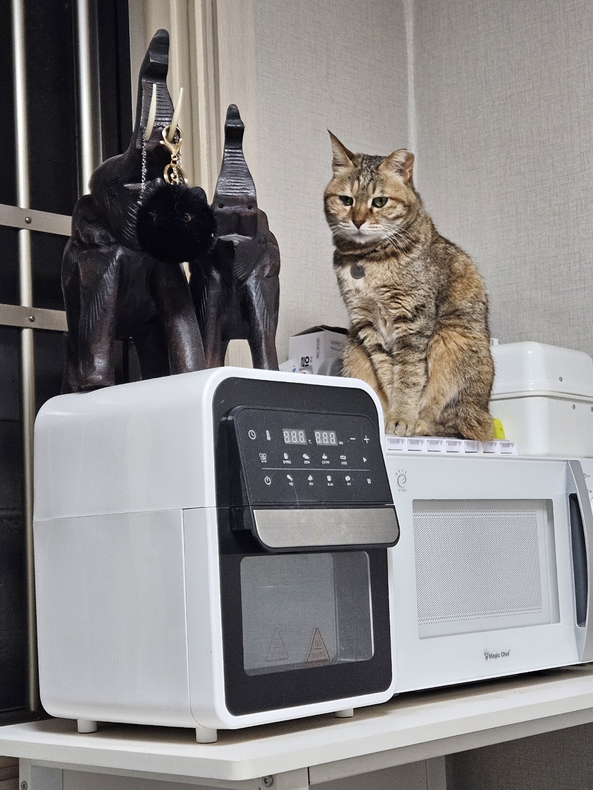 250615_부평_봄.jpg