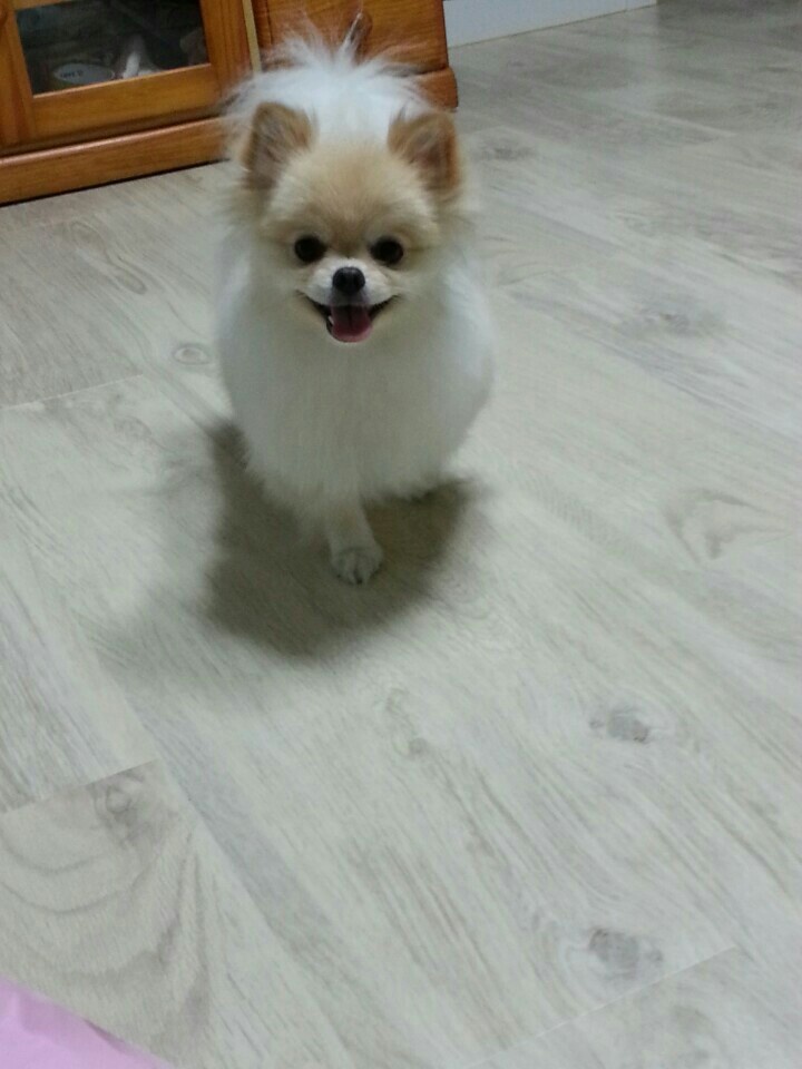 250616_광명_하니.jpg