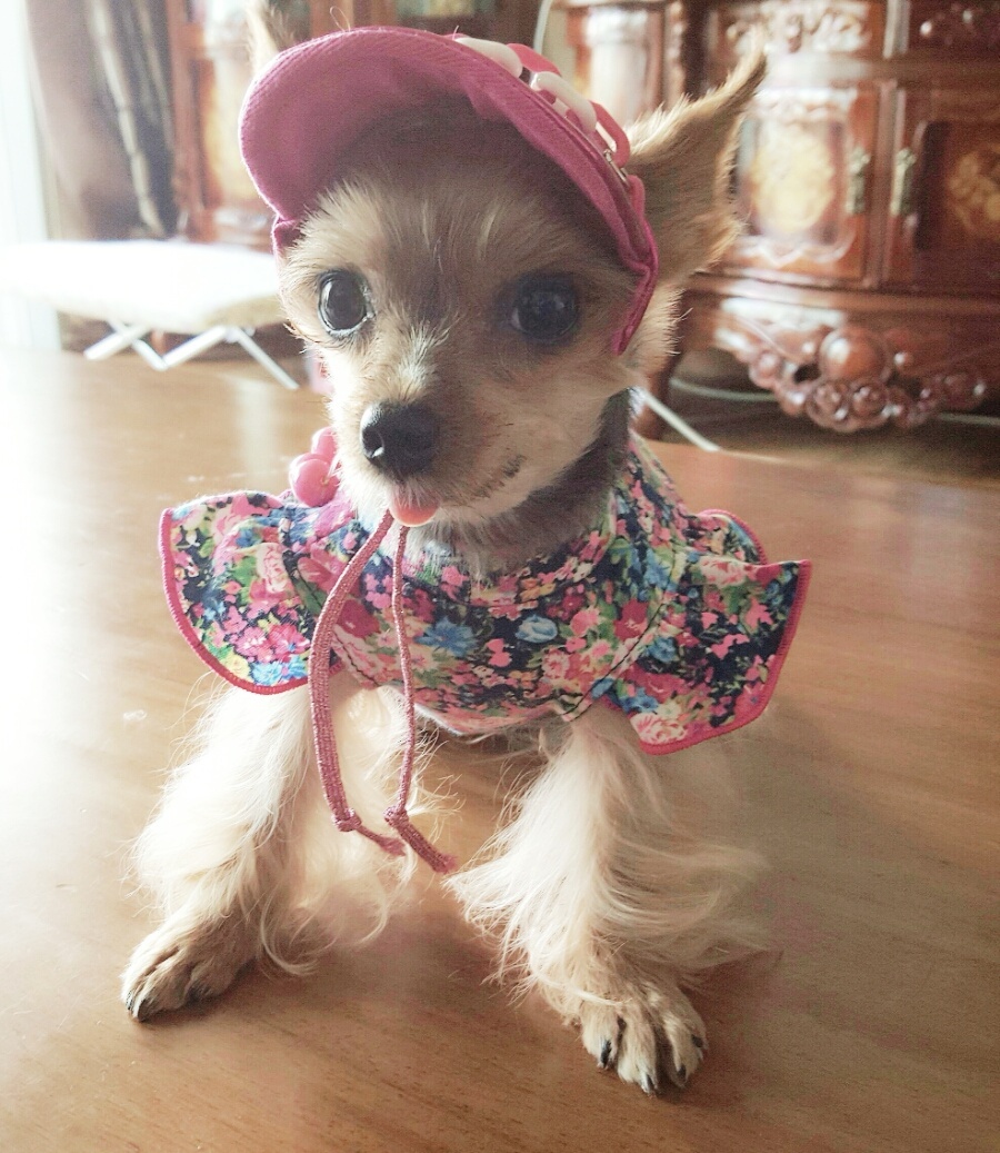 250616_부천_제리.jpg