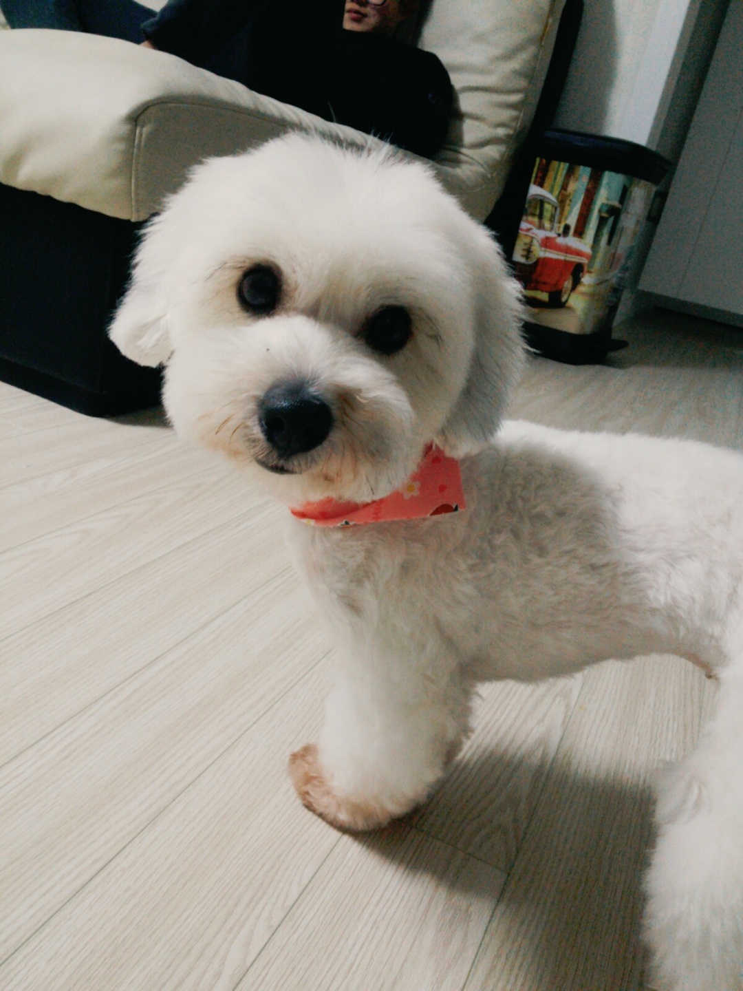 250616_부평_써니.jpg