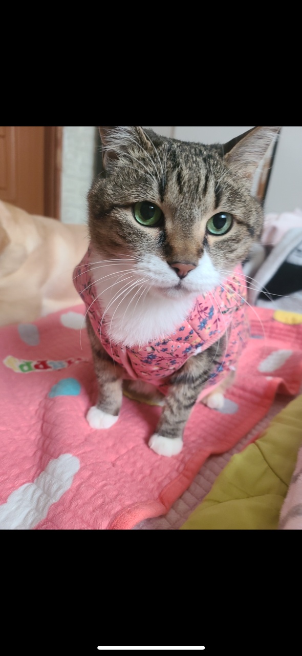 250617_부평_은이.jpg