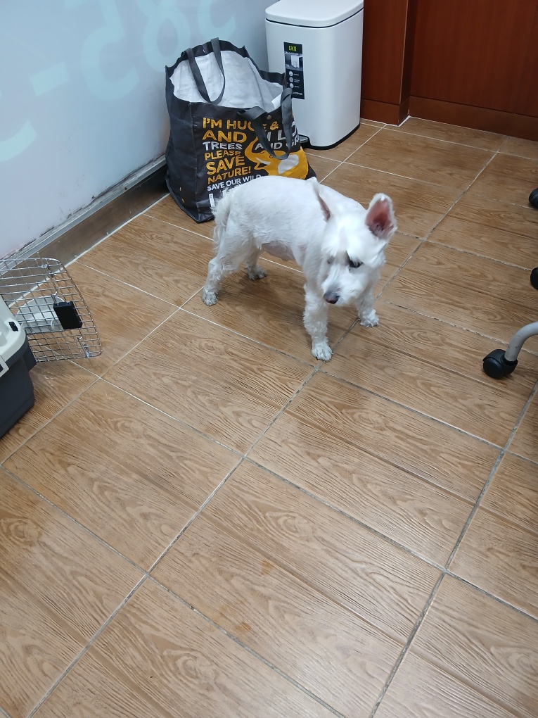 250617_안양_신이.jpg