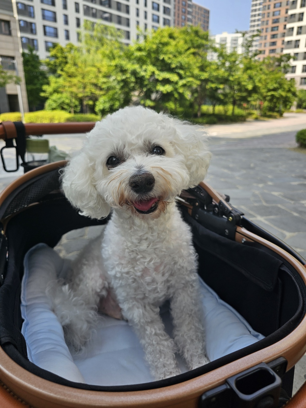 250617_영종도_럭키.jpg