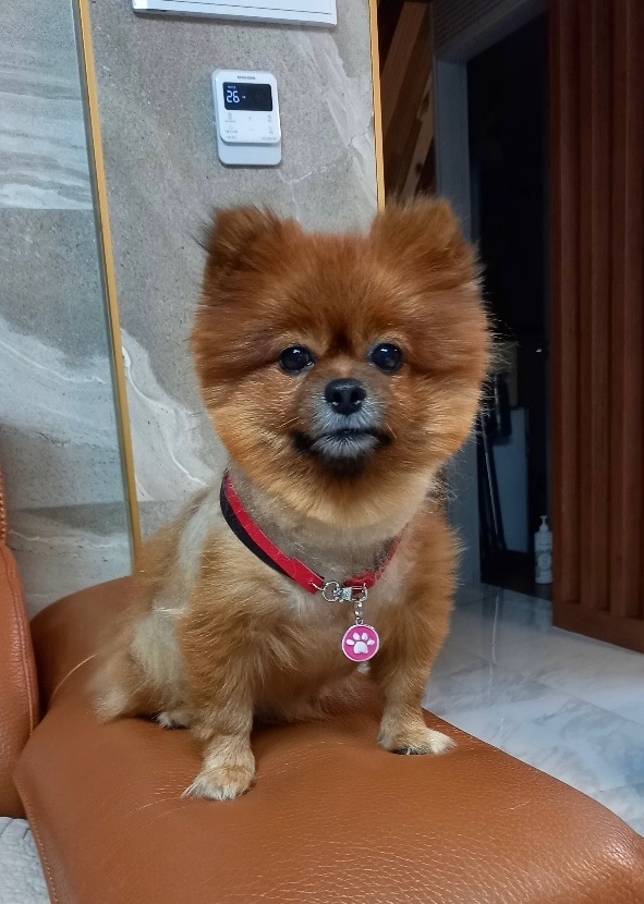 250618_남동구_빈이.jpg