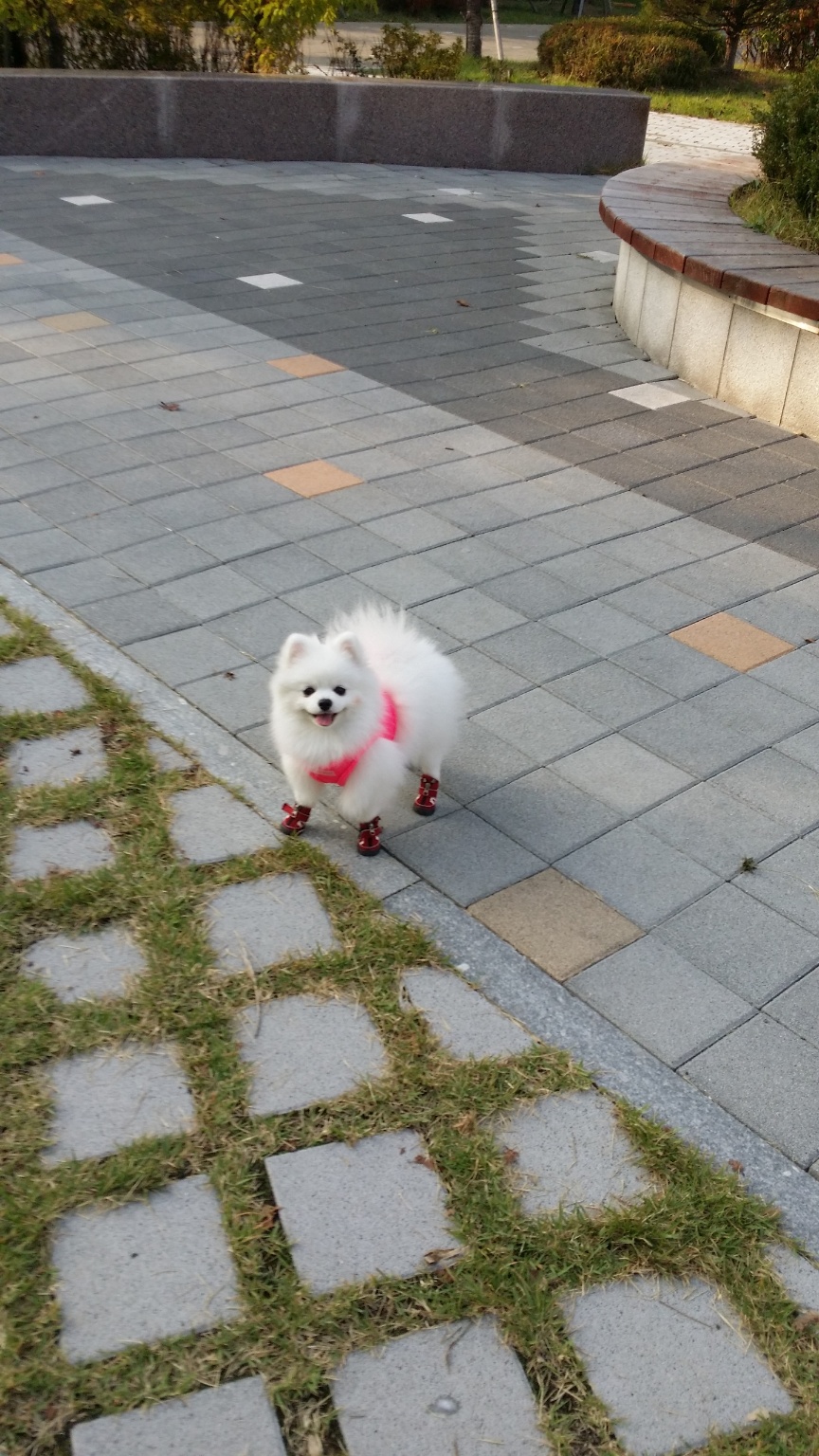 250618_영종도_송이.jpg
