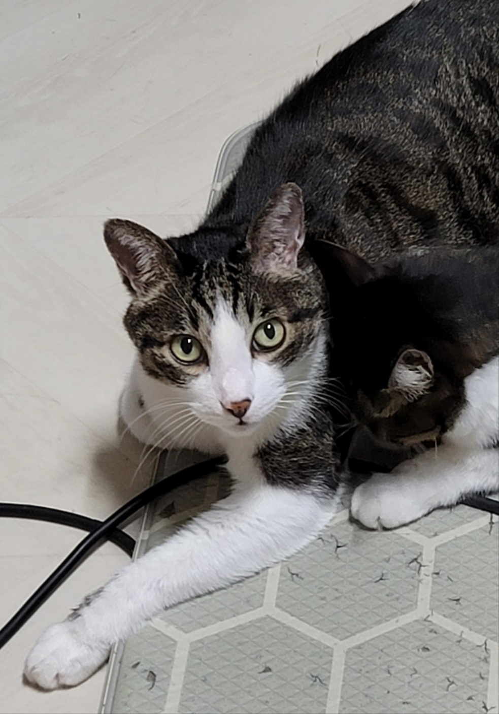250619_관악_이오.jpg