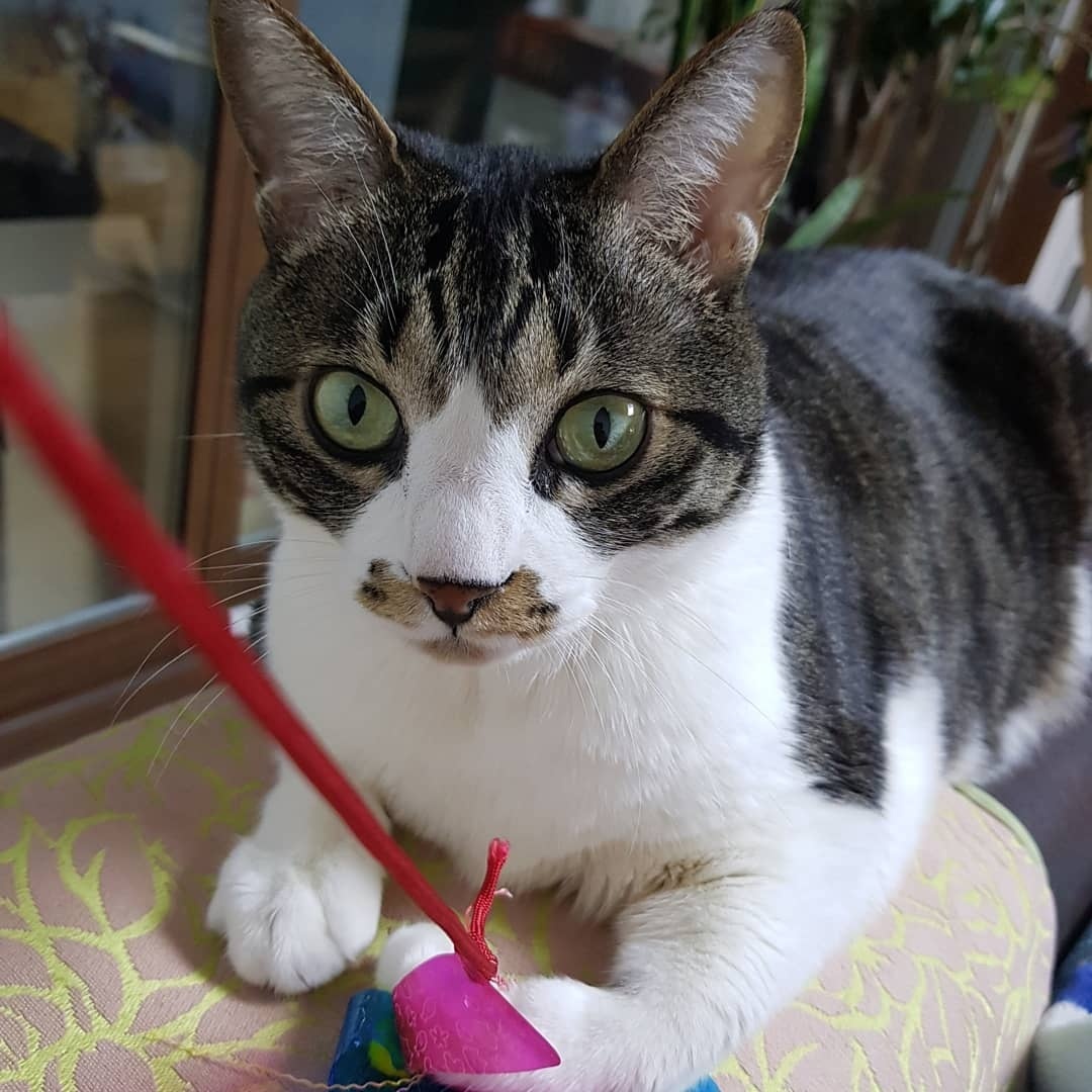 250619_연수_커비.jpg