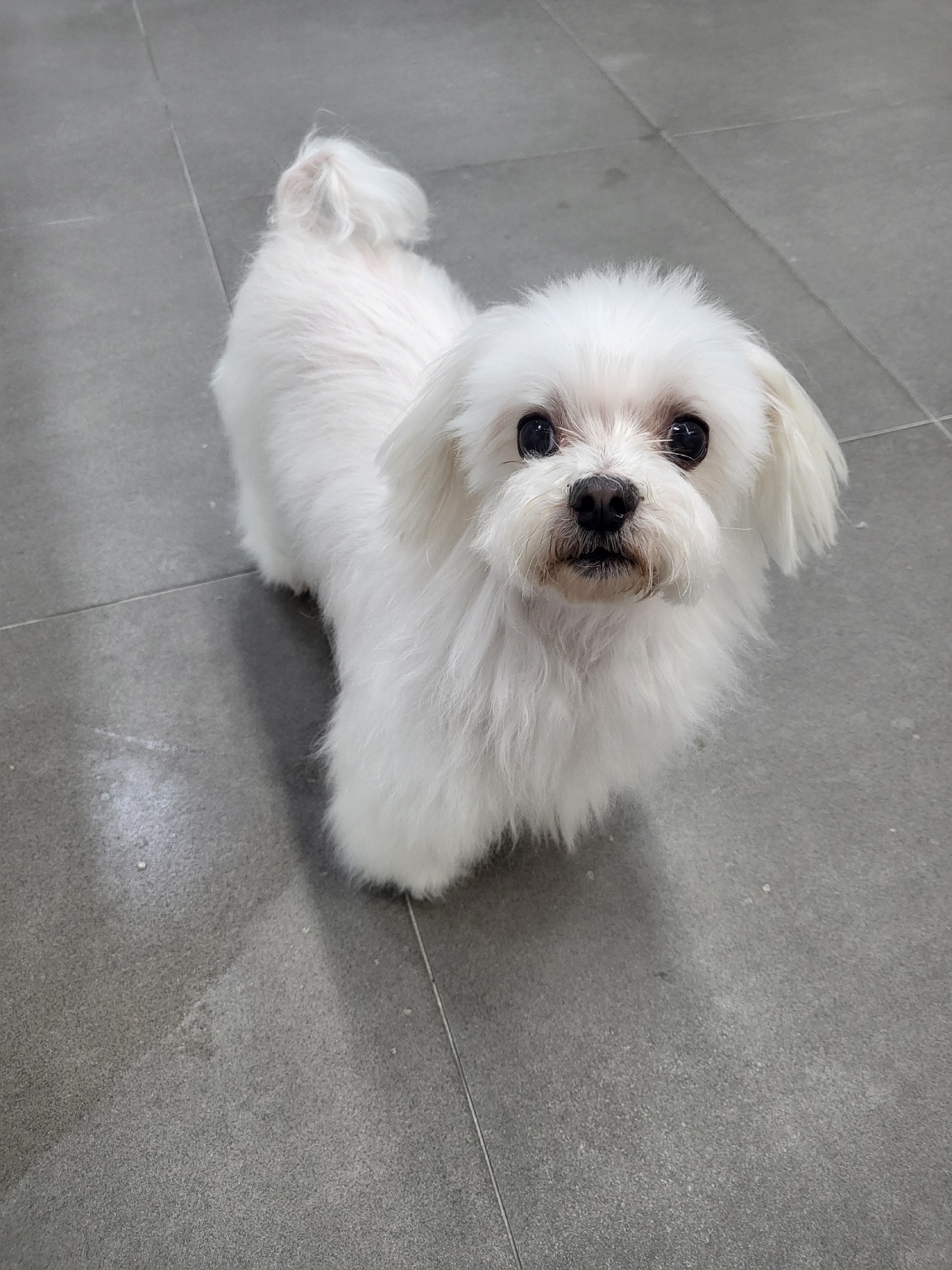 250619_연수_콩이.jpg