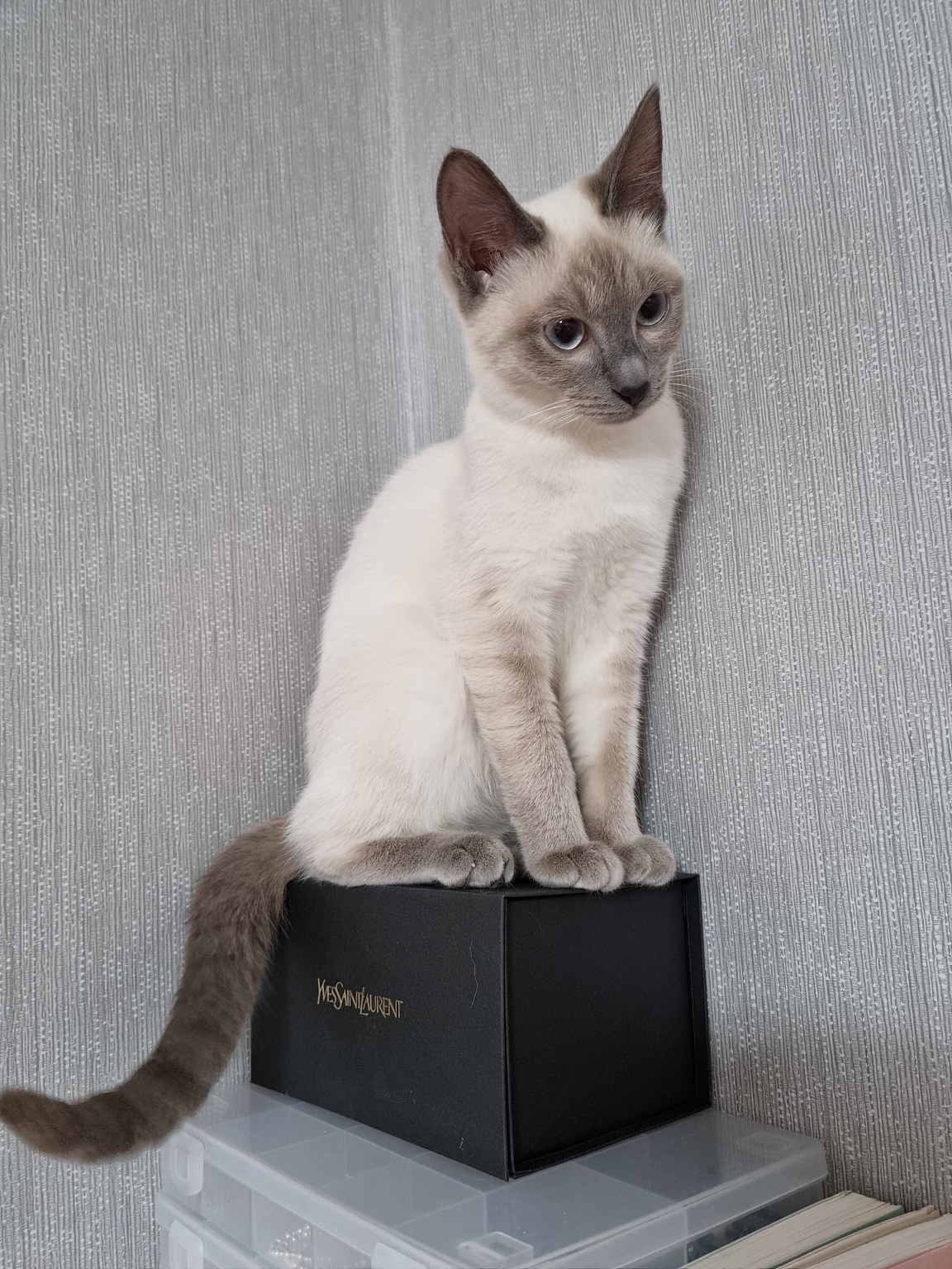 250620_부평_라떼.jpg