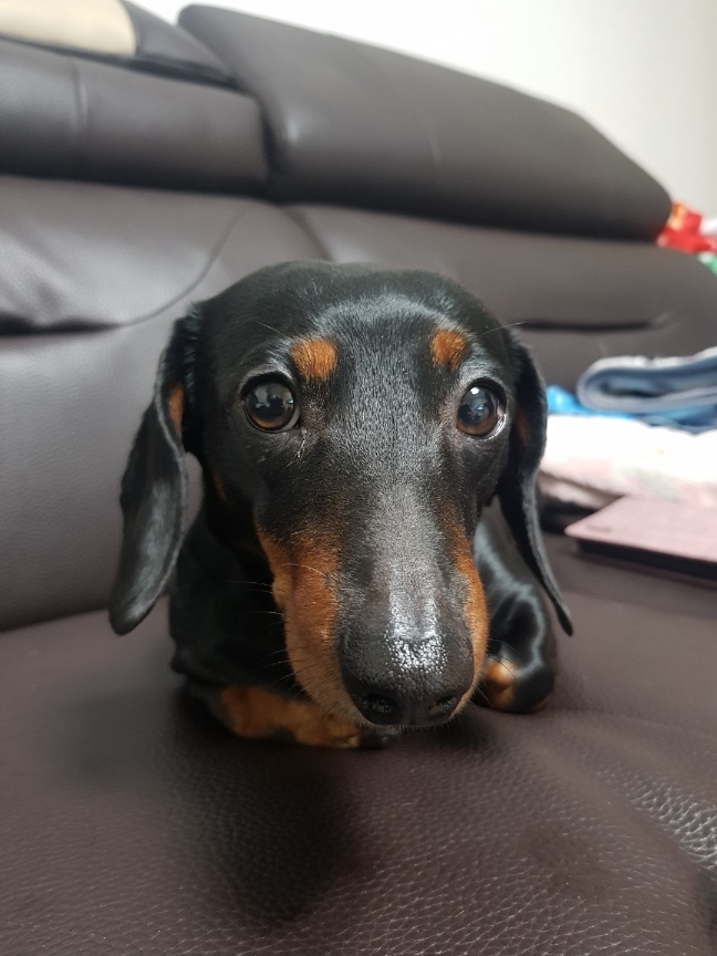 250620_서구_안나.jpg