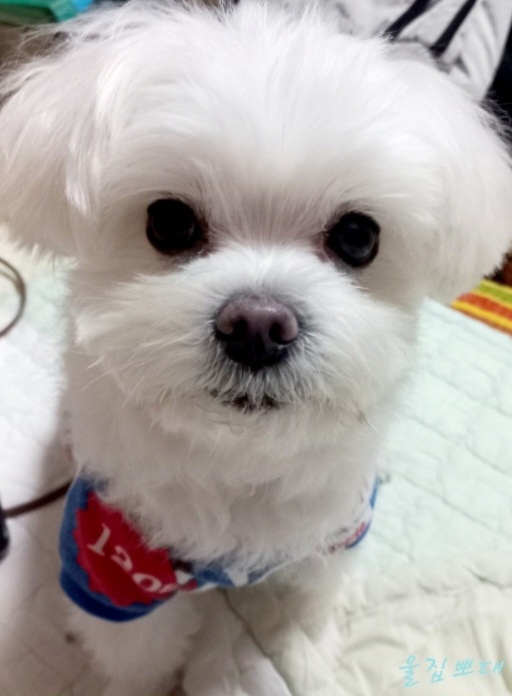 250620_시흥_뽀대.jpg