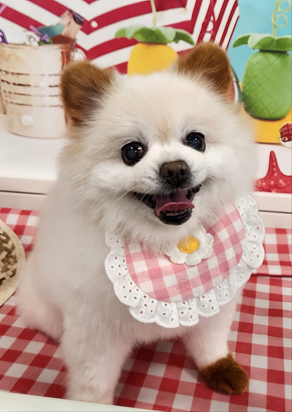 250620_청라_임코코.jpg