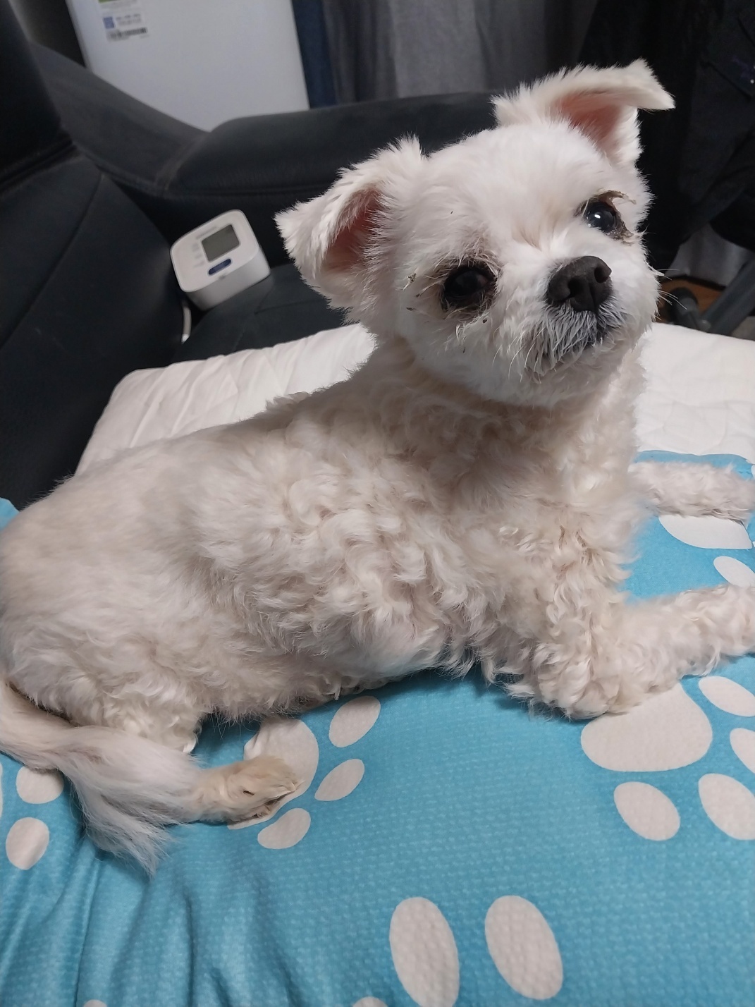 250621_가좌_미니.jpg
