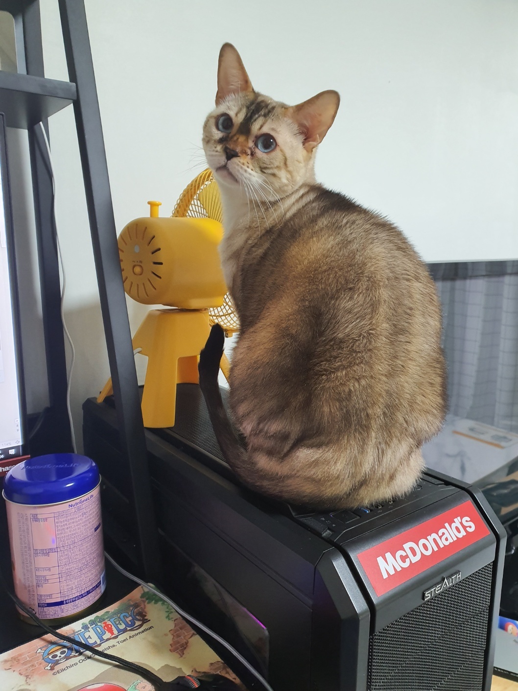250621_안양_요다.jpg