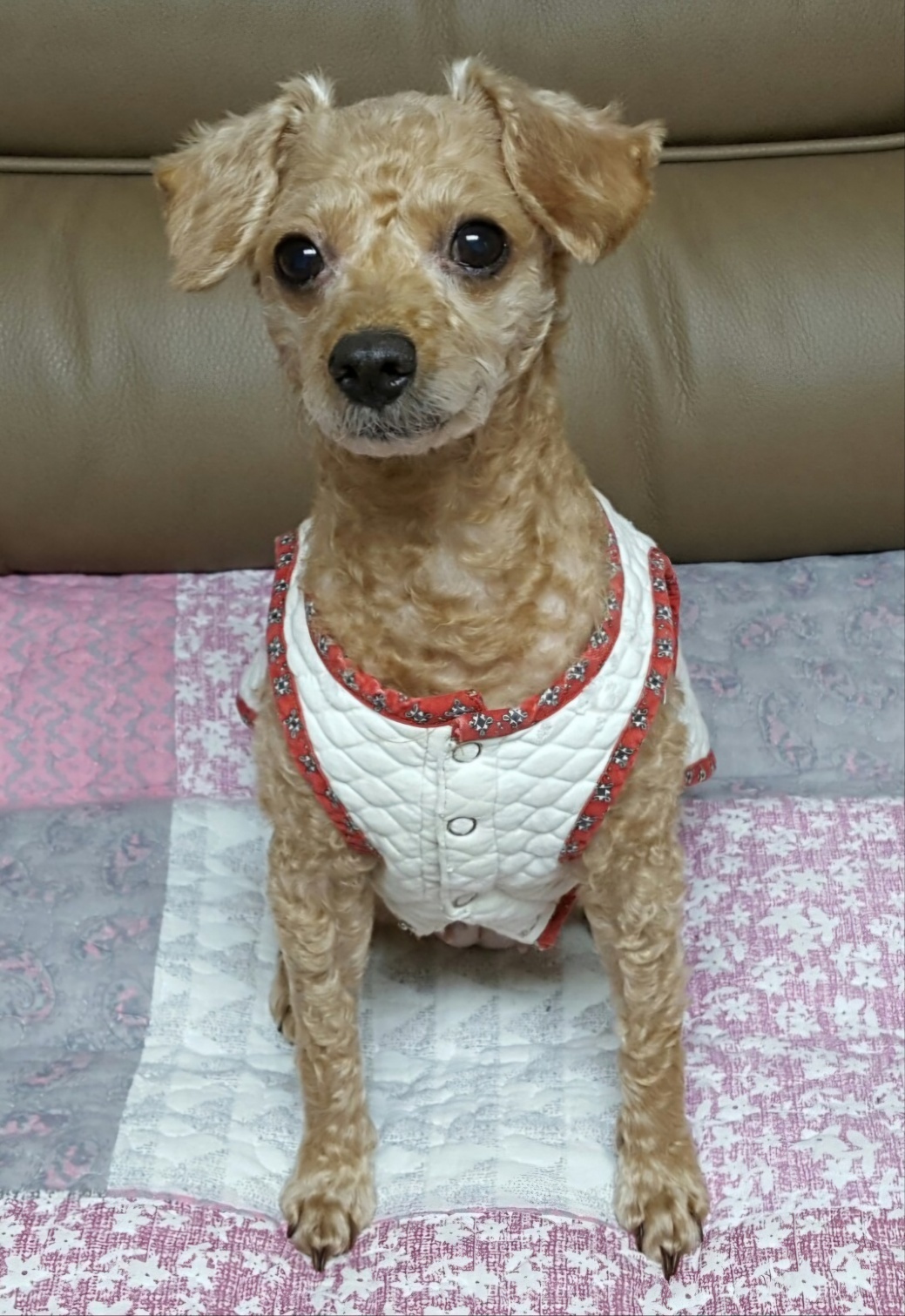 250625_부천_콩알.jpg