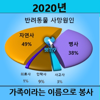 modify_001_20년사망통계.jpg modify_001_20년사망통계.jpg
