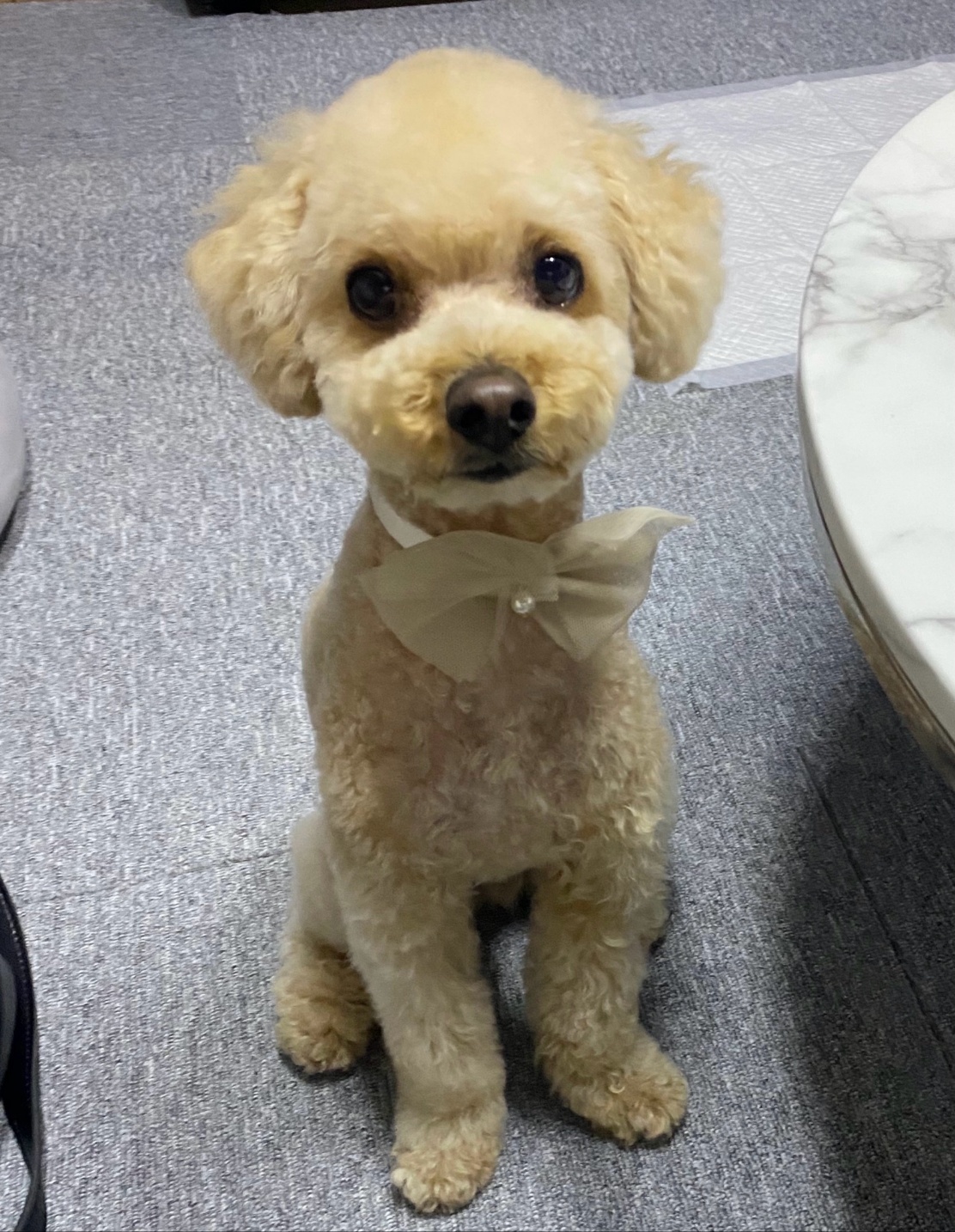 250629_문학동_블랑.jpg