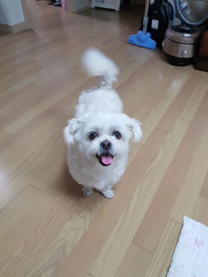 20250712_시흥_웅.jpg