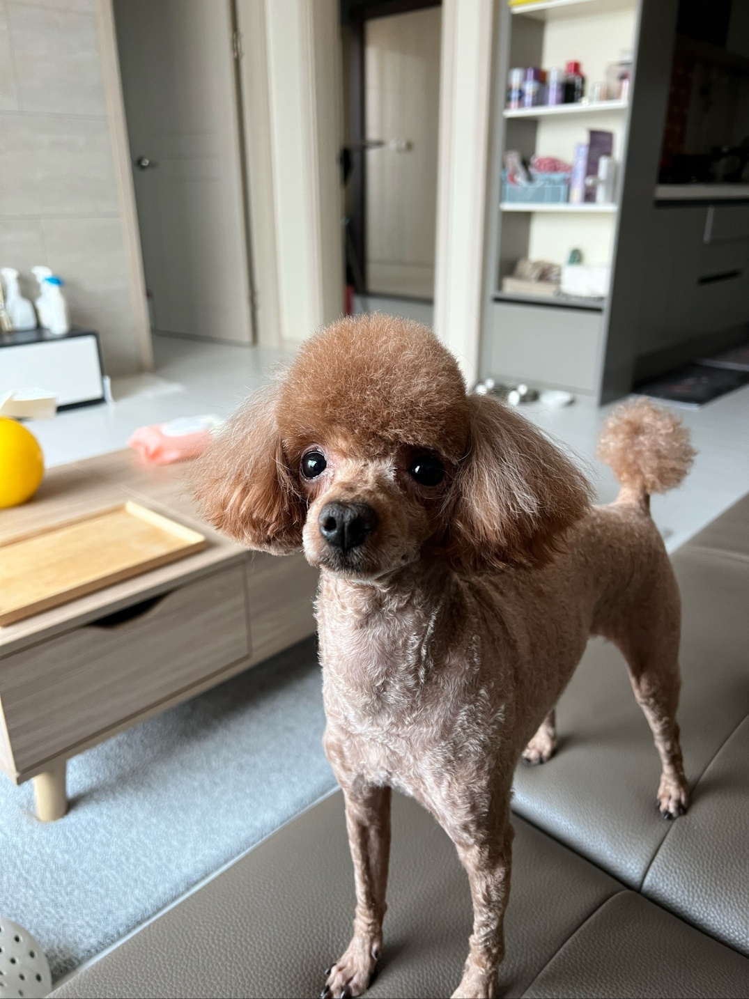 20250717_미추홀_우동.jpg