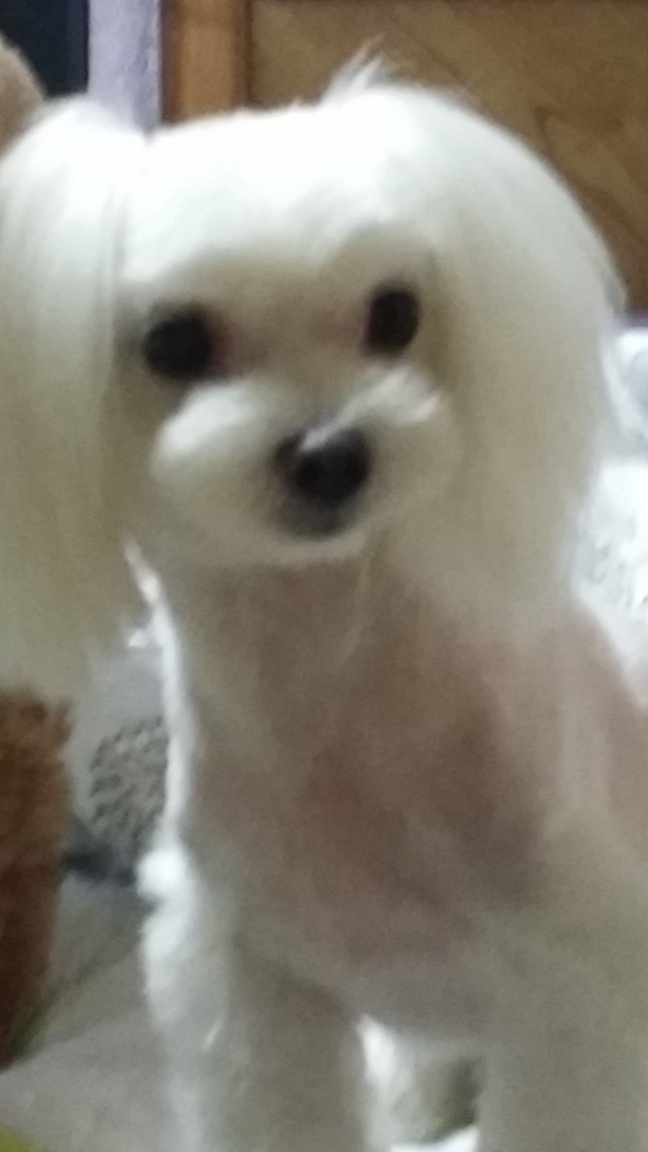 20250718_박사.jpg