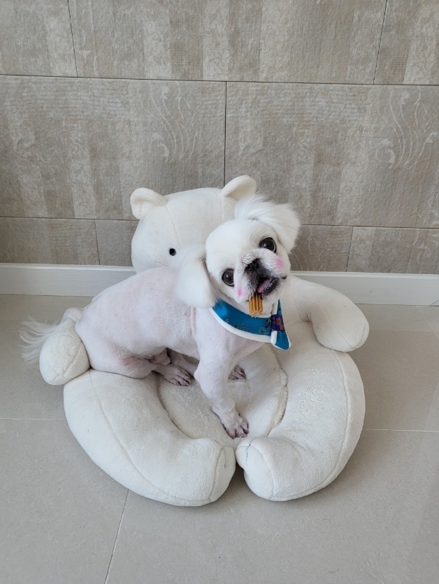 20250718_부평_만두.jpg