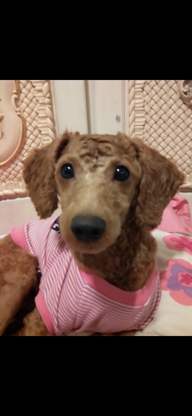 20250719_계양_몽.jpg