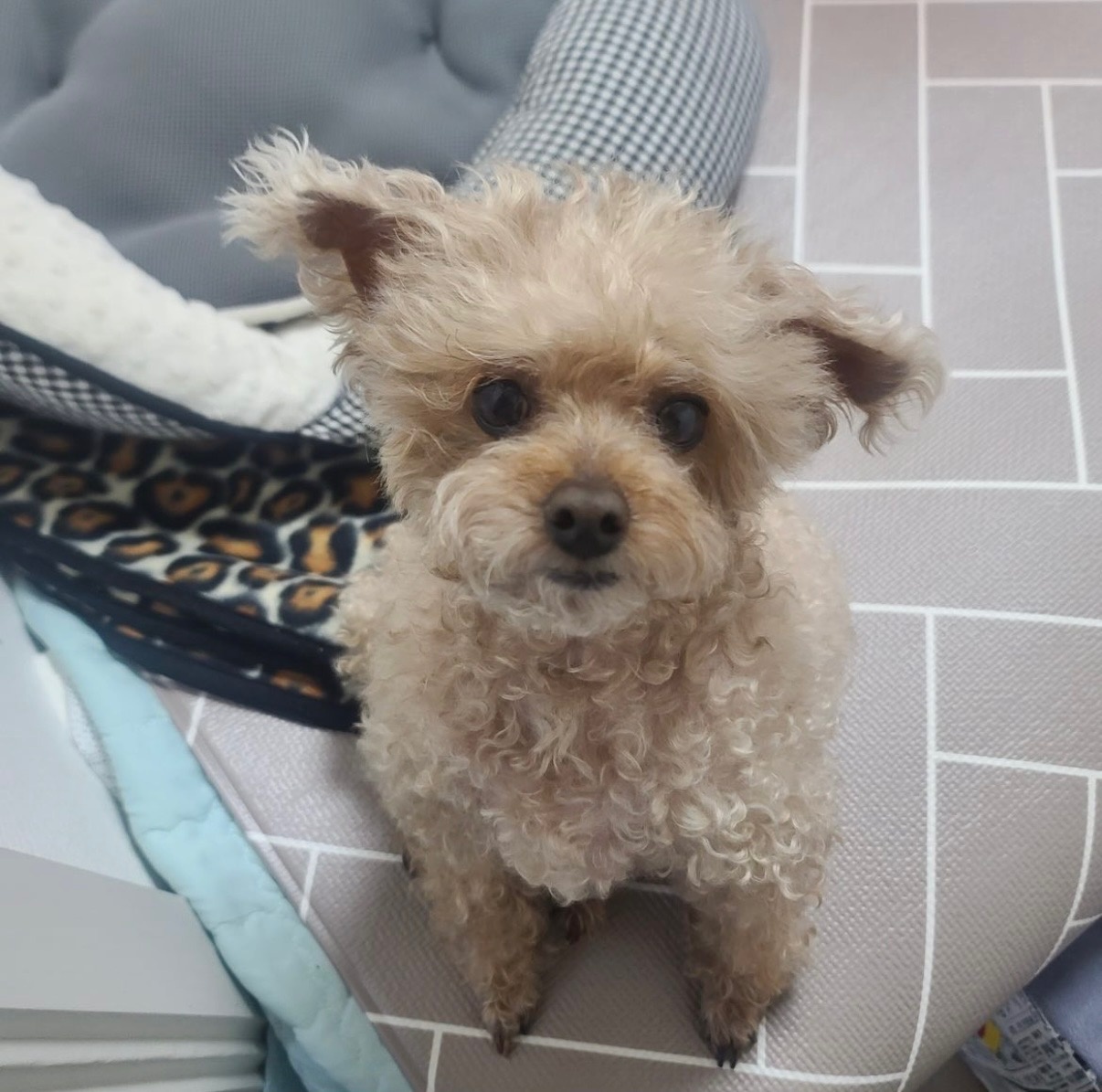 20250720_연수동_쫑.jpg