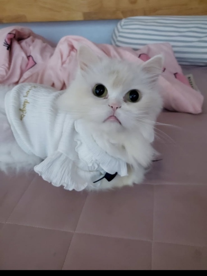 20250722_신림_애봉.jpg