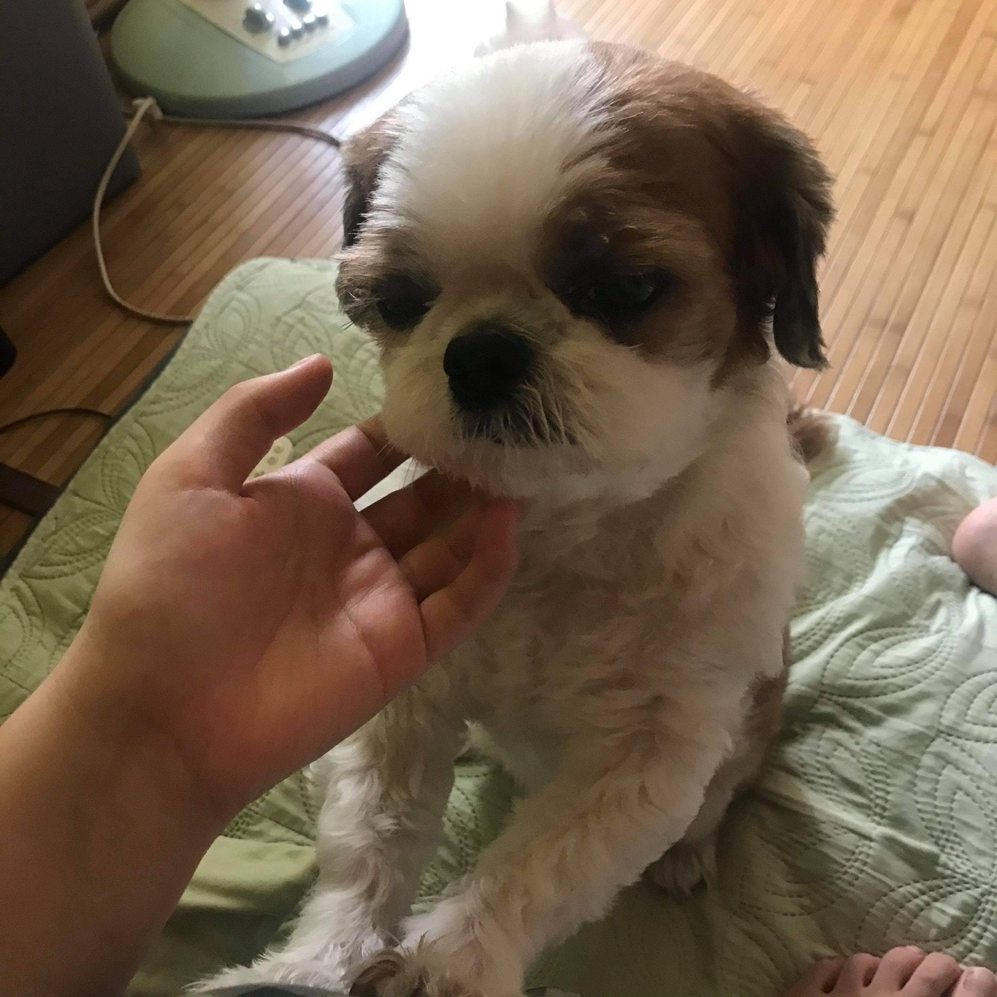 20250728_서구_둥이.jpg