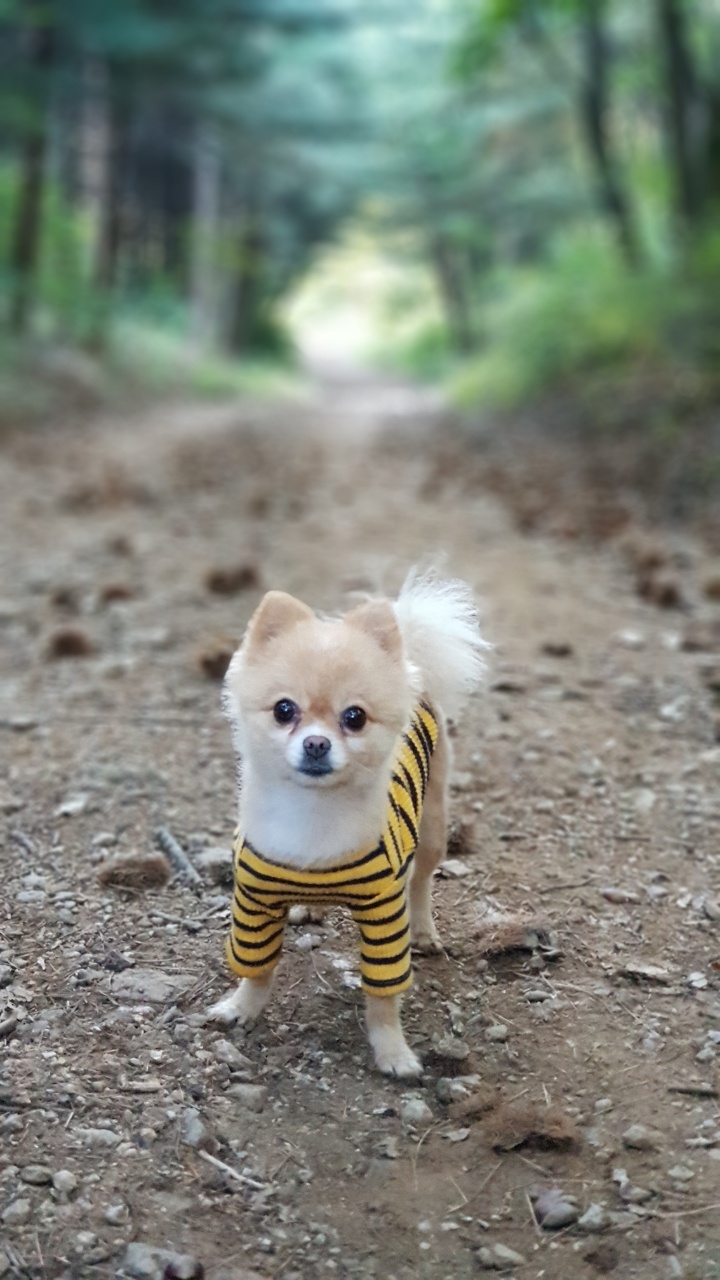 20250731_연수_쿠마.jpg