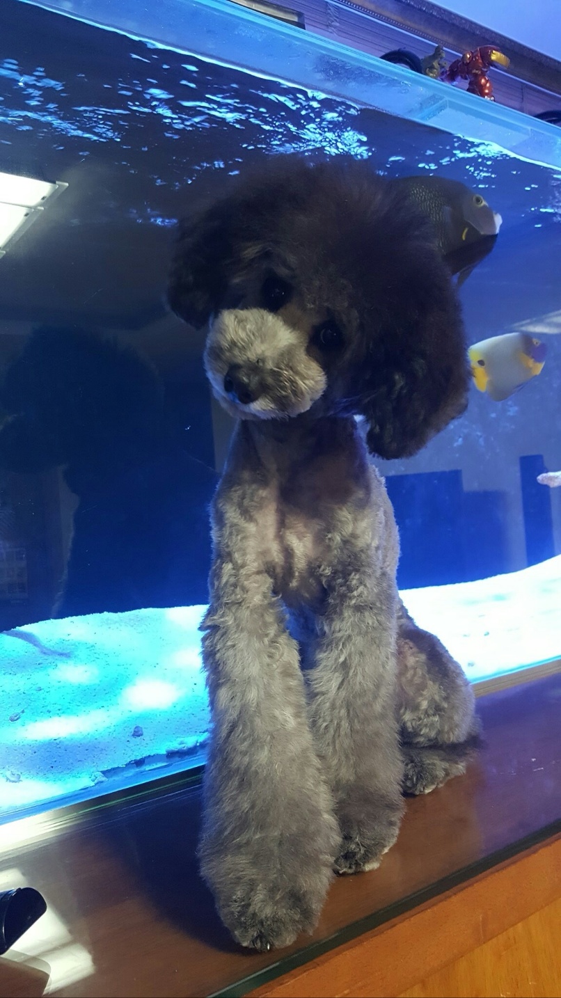 20250801_시흥_뽀송.jpg