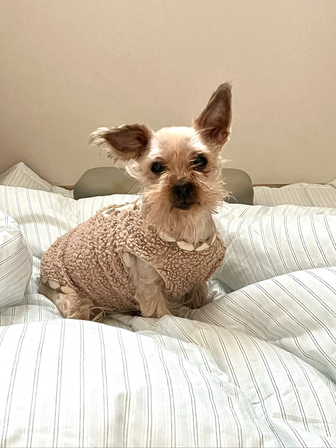20250802_미추홀구_아진이.jpg