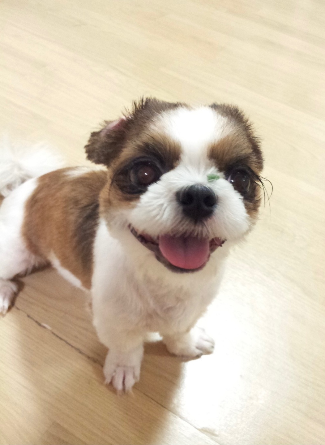 20250802_안산_시용.jpg