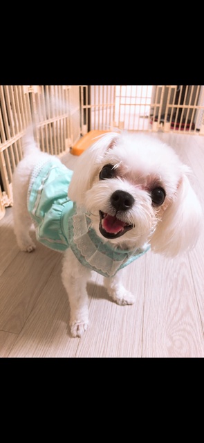20250804_부평_제리.jpg