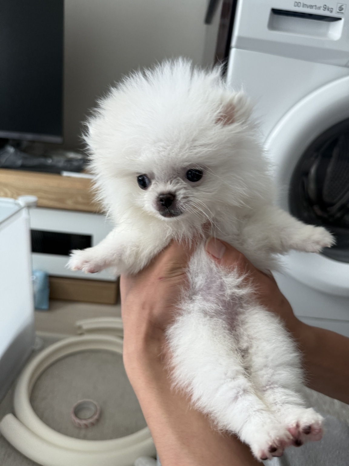 20250804_영등포_김루이.jpg
