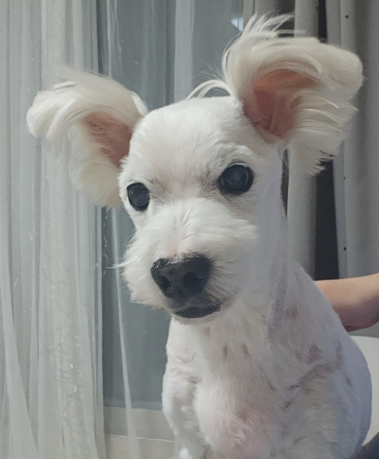 20250805_영종도_김강냉.jpg