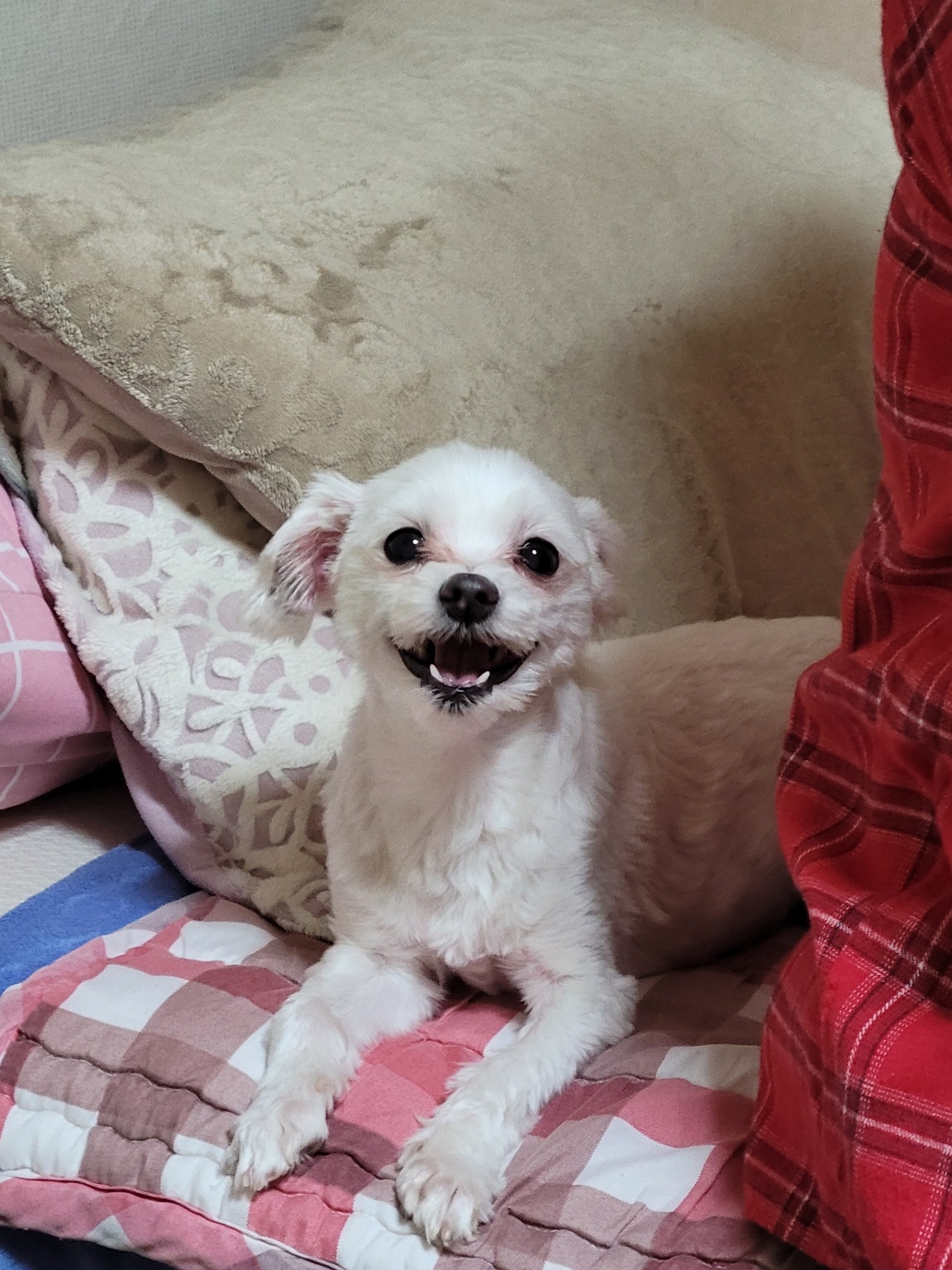 250805_계양_나나.jpg
