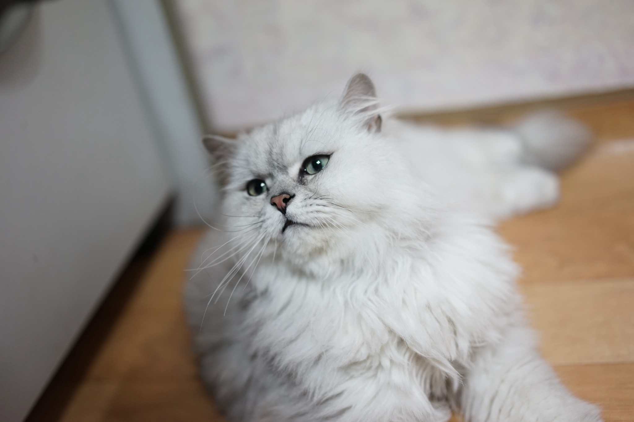 250807_강북구_지숙.jpg