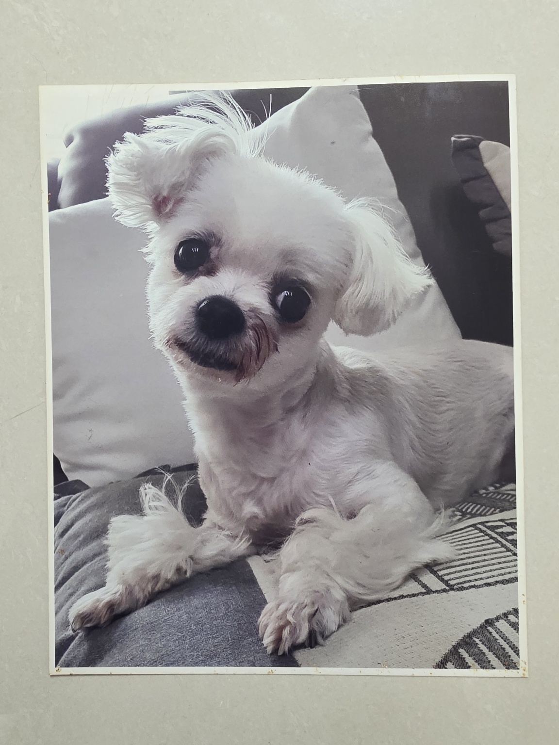 250807_중구_루비.jpg