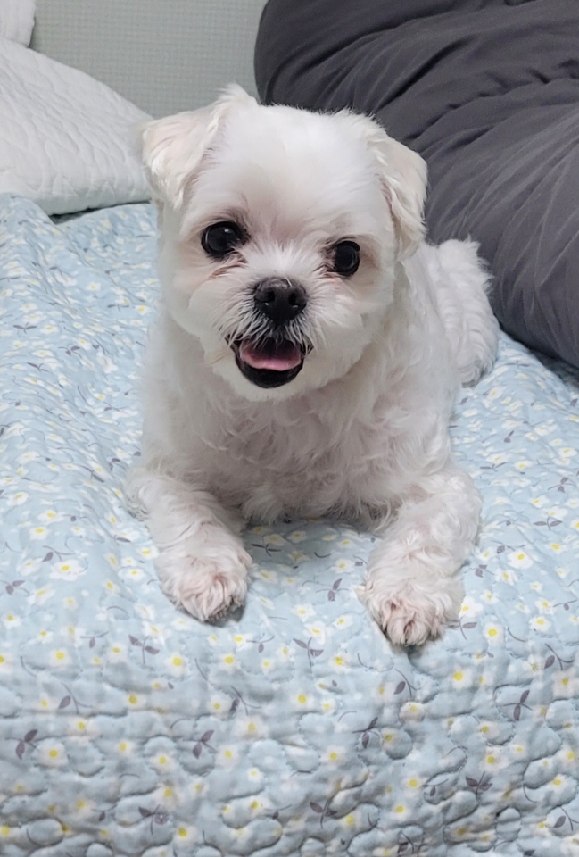 250807_평택_세미.jpg