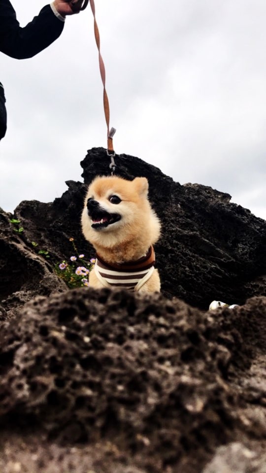 250809_고양시_맹군.jpg
