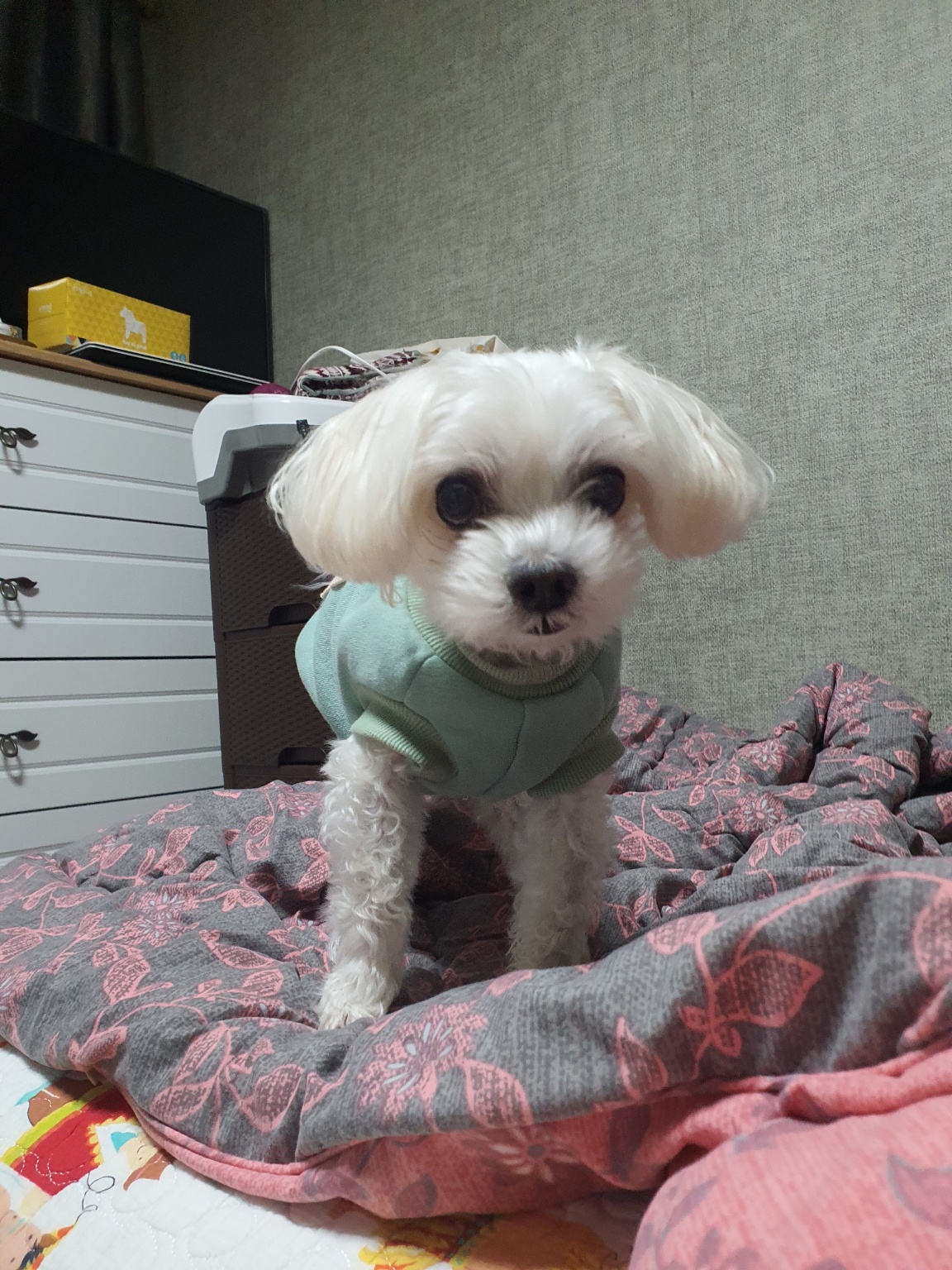 250809_부천_뽀.jpg