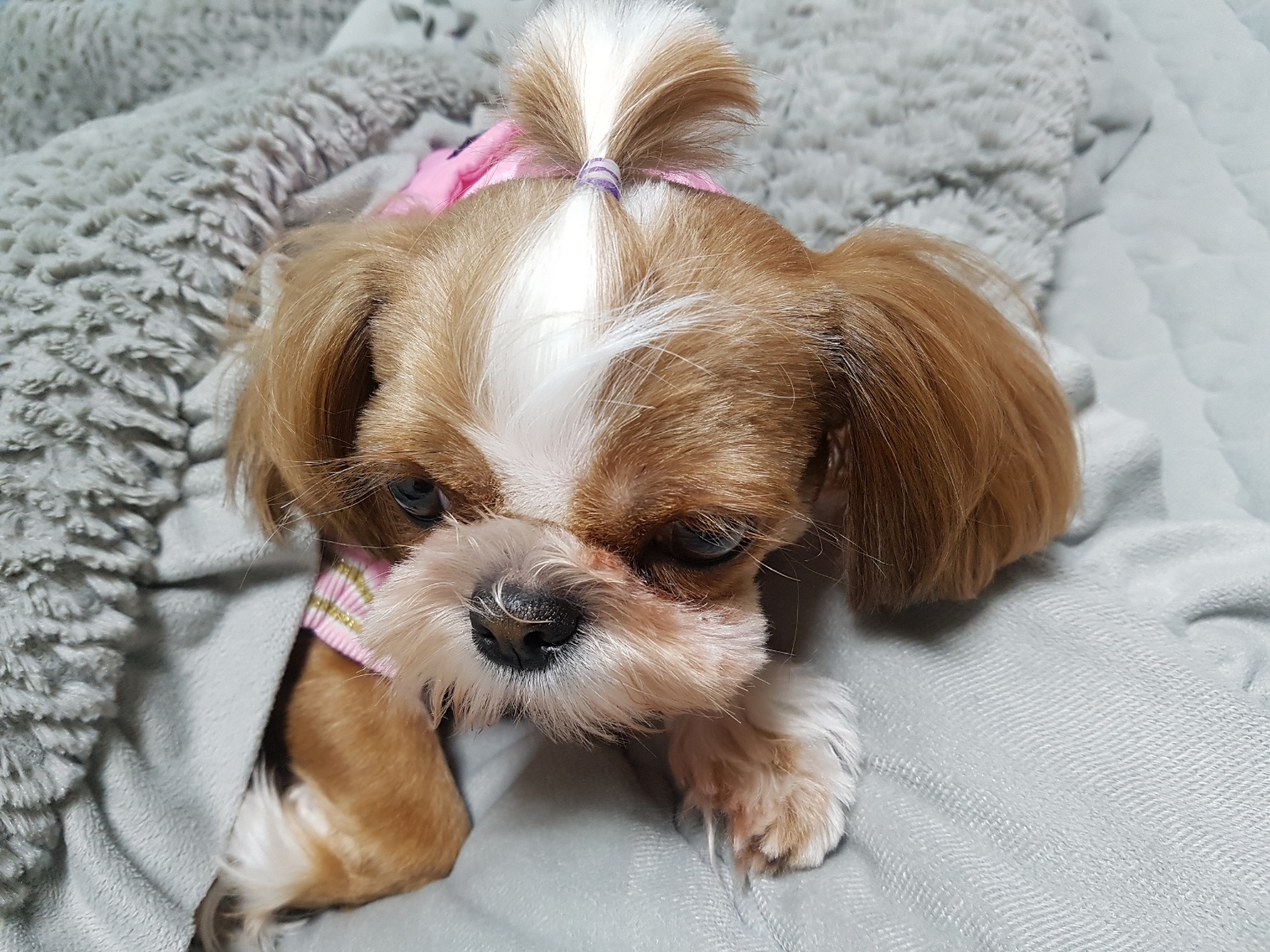 250811_관악구_몽실이.jpg