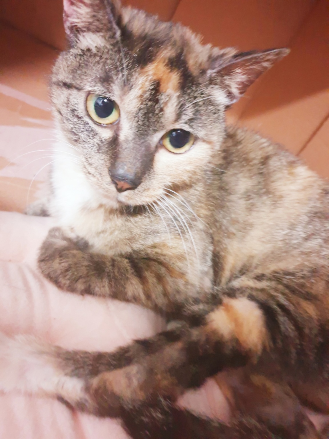 250811_구로_트니.jpg
