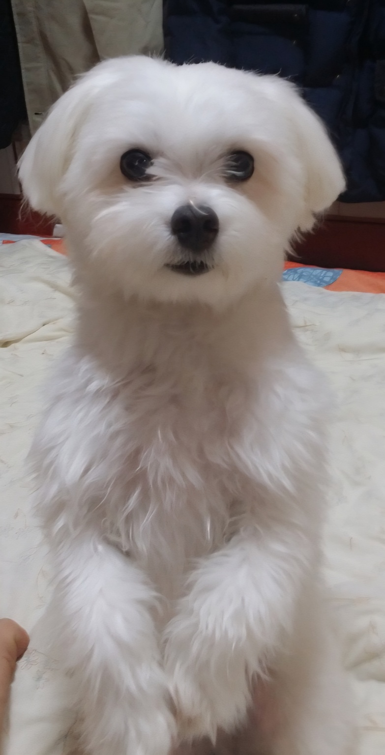 250811_부평_꼬미.jpg